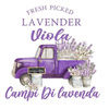 violalavenda57
